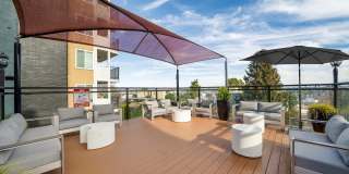 Arrive Magnolia Gallery 57