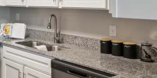 ReNew Norwich Gallery 1