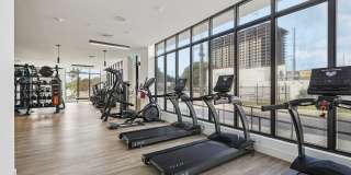 Griffin 441 Gallery 11