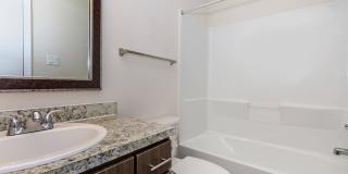 Autumn Wood Gallery 15