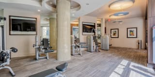 Windsor South Lamar Gallery 30