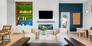 Yardly Beltmill Yardly Beltmill Gallery 22