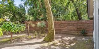 10 Angelica Court Gallery 25