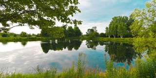 35 Thomas Court Gallery 32
