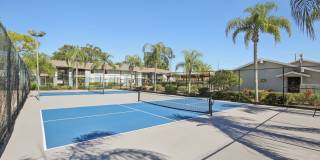 The Palms at Countryside Apartments Gallery 21