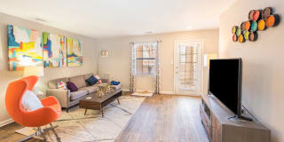 The Whitley Apartments The Whitley Apartments Gallery 5