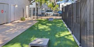 Chandler Ridge Gallery 17