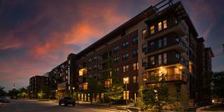 Troubadour Gallery 164