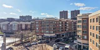 22 AVENUE AT PORT IMPERIAL Gallery 19