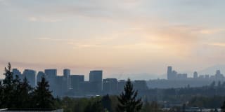 Hyde Square Gallery 17