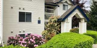 1 Bedroom Near Lake Washington With Pool! 1 Bedroom Near Lake Washington With Pool! Gallery 1