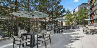 AVA Van Ness Gallery 30