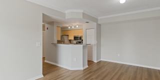 Windsor Pembroke Pines Gallery 22