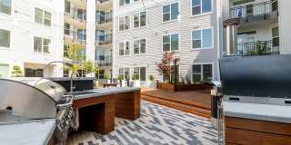 Tailor O4W Gallery 50