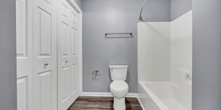 BEAUTIFULLY RENOVATED TWO BEDROOM IN CHAPIN Gallery 22