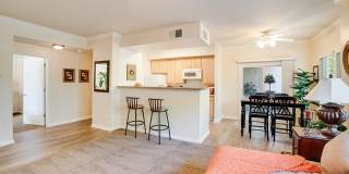 Bella Rose Gallery 11