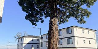 Strong Heights Gallery 24