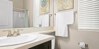 Olive Queen Creek Gallery 15