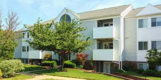 Spacious Two Bedroom Condo Spacious Two Bedroom Condo Gallery 1