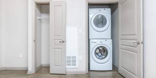 RIZE at Winter Springs Gallery 136