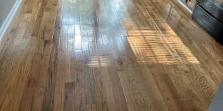 149 Lincoln Streetb1 Gallery 4