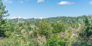 Stunning Architectural Masterpiece! 5BR+Yoga Studio/4.5BA! Ross! Views! Pool! Pet! Waterfalls!  PROGRESSIVE Gallery 11