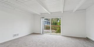 Heather Ridge Gallery 29