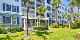 Bermuda Cay Gallery 31