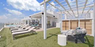 Altura Bayshore Gallery 55