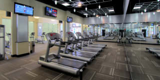 The Lanesborough Apartments Gallery 6