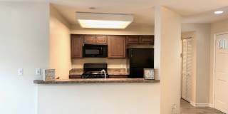 210 S Habana Ave Gallery 4