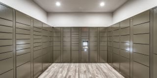 Alexander Gallery 14