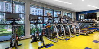 The Lex The Lex Gallery 29