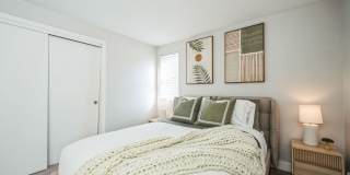 The Meadows Gallery 30