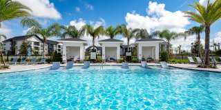 Alta Citron Gallery 93