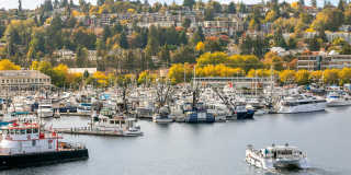 Arrive Magnolia Gallery 76