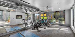 Sevens Luxury Apartment Gallery 166