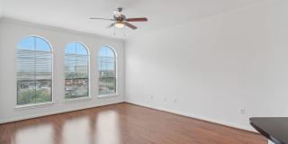 Forum on San Felipe Gallery 19