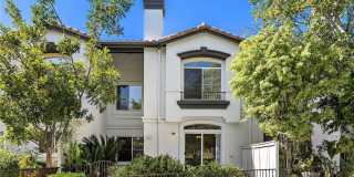 117 Pomelo Gallery 1