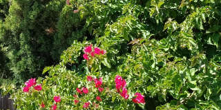 2701 Alma St Gallery 1