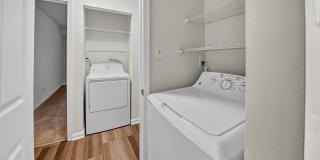 The Forest Apartments Gallery 22