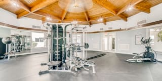 Spectra Palms Gallery 4