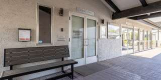 Lion Tempe Gallery 12