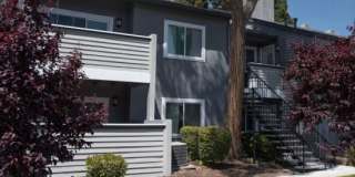 Mountain View Apartments Gallery 7