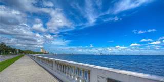 4907 BAYSHORE BOULEVARD Gallery 2