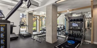 Northlight Gallery 31