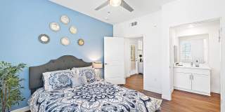 Levante Apartments Homes Gallery 18