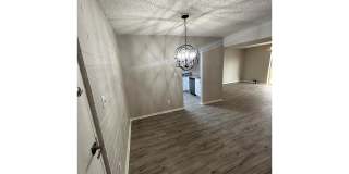 Bellevue Towers Gallery 142