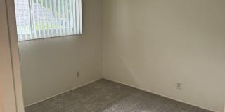 1247we Gallery 19