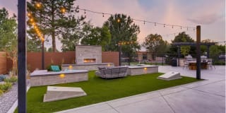 Elm at Panorama Gallery 13